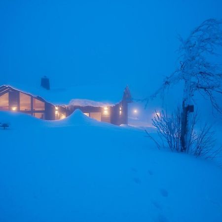 Villa Beerenhaus Altenberg  Esterno foto