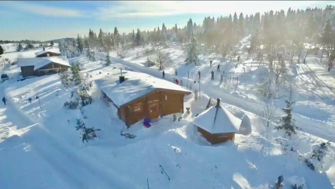 Villa Beerenhaus Altenberg  Esterno foto