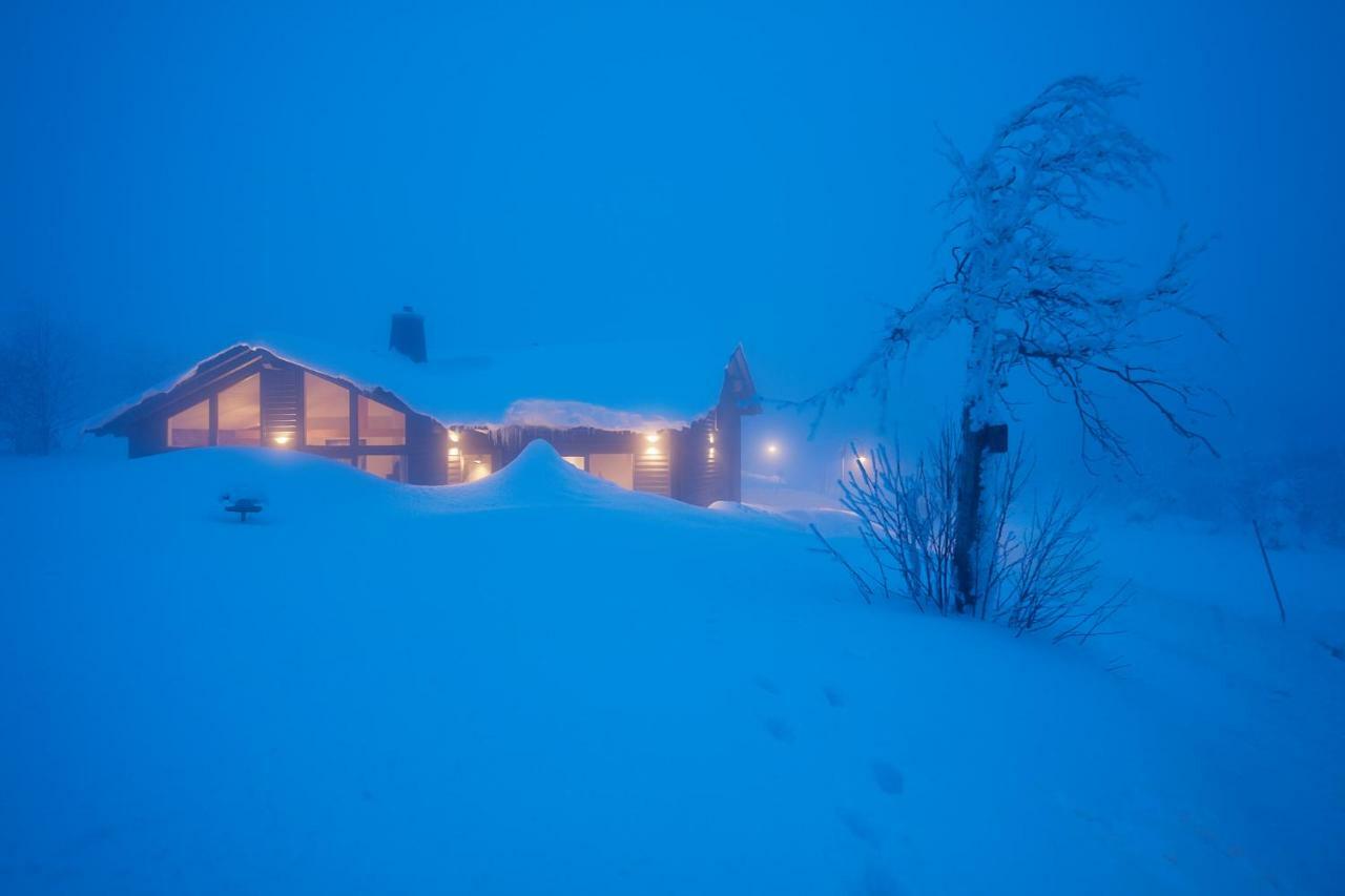 Villa Beerenhaus Altenberg  Esterno foto